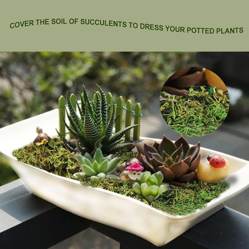 ZYAPA 35 OZ Moss for Potted Plants Fake Moss for Fake Plants,Artificial Moss for Crafts,Faux Moss for Fake Plants Decroative Moss Artificial Green Moss - Image 4